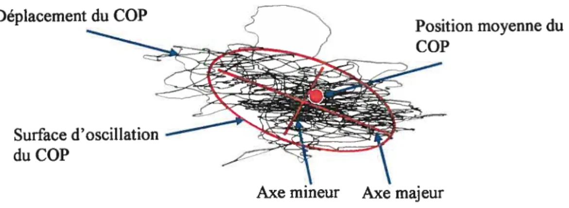 Figure 3.4 Représentation graphique du déplacement du COP et de sa surface
