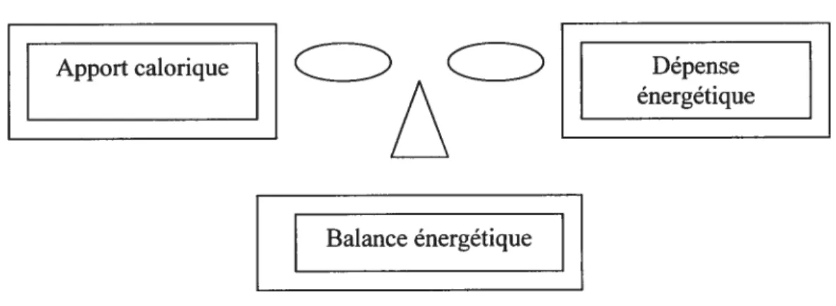 FIGURE 2 : Balance énergétique