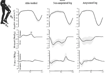 Figure 4.3: Mean knee angular excursion (°), moment (N.m/kg) and power (W/kg) for AH children, non-amputatcd and amputated limbs