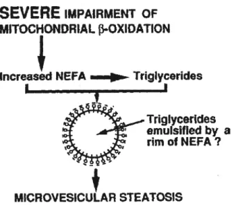 Figure 4. Mécanisme hypothétique d’accumulation des microvésicules dans le cytosol. Les TAG neutres se feraient érnulsifler par un cerceau d’AGL intrahépatiques exposant leur face hydrophile à l’extérieur de la