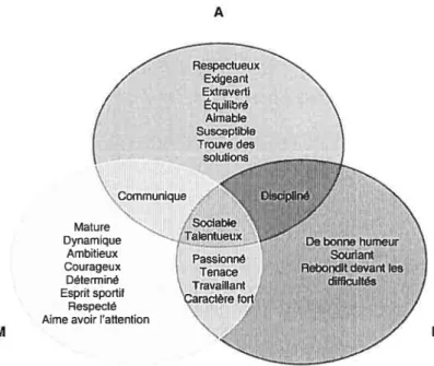 Figure 5. Schématisation des caractéristiques de Louis