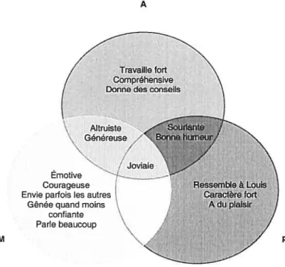 Figure 6. Schématisation des caractéristiques de la mère de Louis