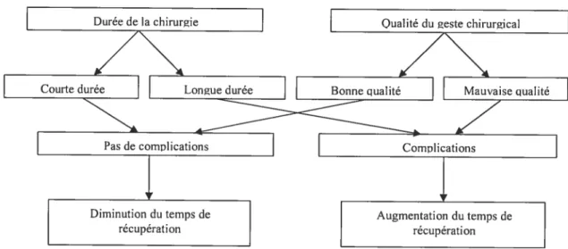 Figure 2. Modèle de performance chirurgicale