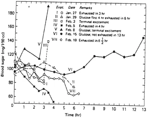 Fig. 1. Blood glucose leveis n one dog and the duration of exercise (Diii 1932).