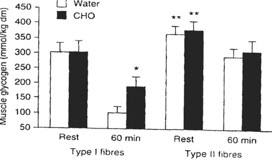 Fig. 10. Muscle glycogen levels during 60 min of exercise with and without the ingestion cf CHO (Tsintzas et al