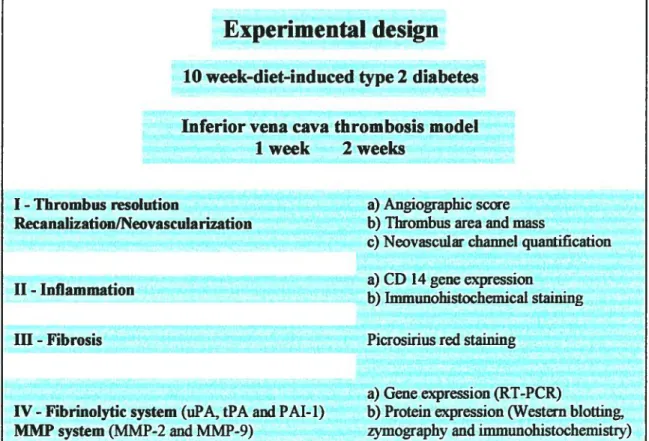 Table 3: Summary of specific objectives