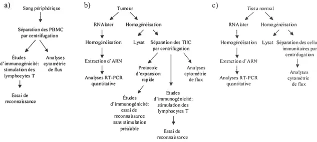 Figure 6. Plan expérimentai.