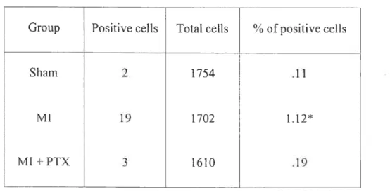 Table 1. Total and Positive TUNEL celis