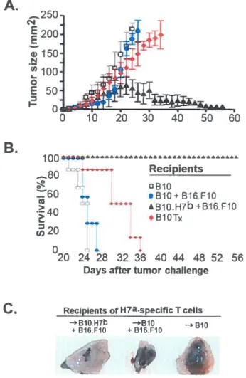 Figure 3-5 3-25 A. 250 1oo. 50 60 B. 1 00 ta Recipients -• OB1O r60 .. •B10+B16.F10 .—.
