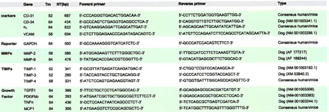 Table 1. Sequences of primers of selected genes chosen for RT-PCR.