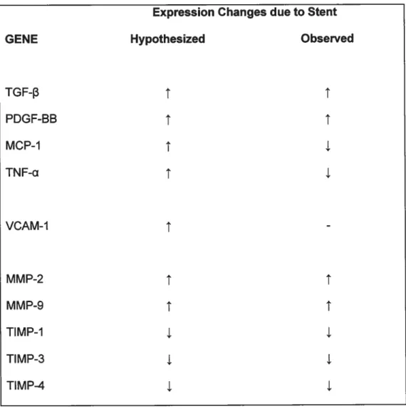 Table 2. Genes potentially involved in the molecular mechanisms of aneuiysm healing, with the hypothesized expression changes obtained from a survey of the literature of other vascular processes, and our experimental observations.