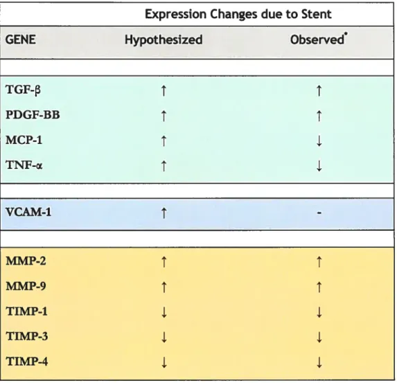 Table 1. Genes potenflally involved in the molecular mechanisms of aneurysm healing, with the hypothesiaed expression changes obtained from a survey of the literature of other vascular processes, and our experimental observations.