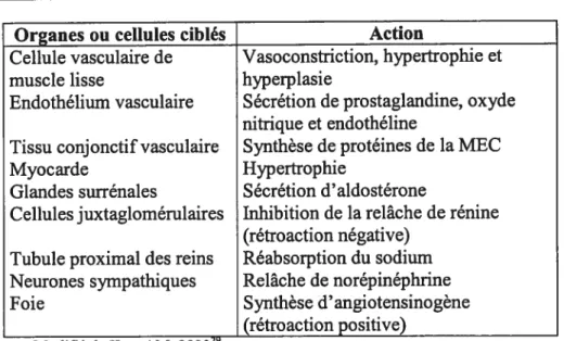Tableau 1 Cibles de l’AngII et ses actions