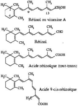 Figure 1.1 Structure chimique des rétinoïdes (www.pharmacorama.com)