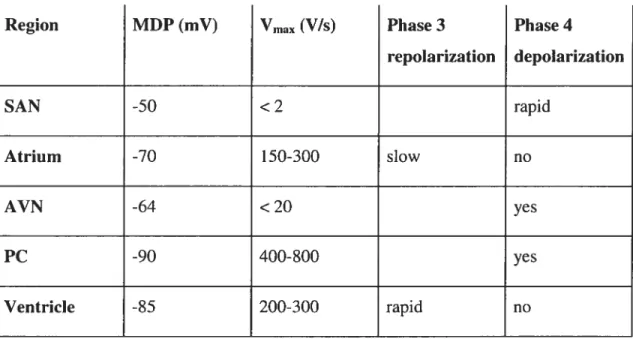 Table I: Actionpotential characteristics in different cardiac regions.