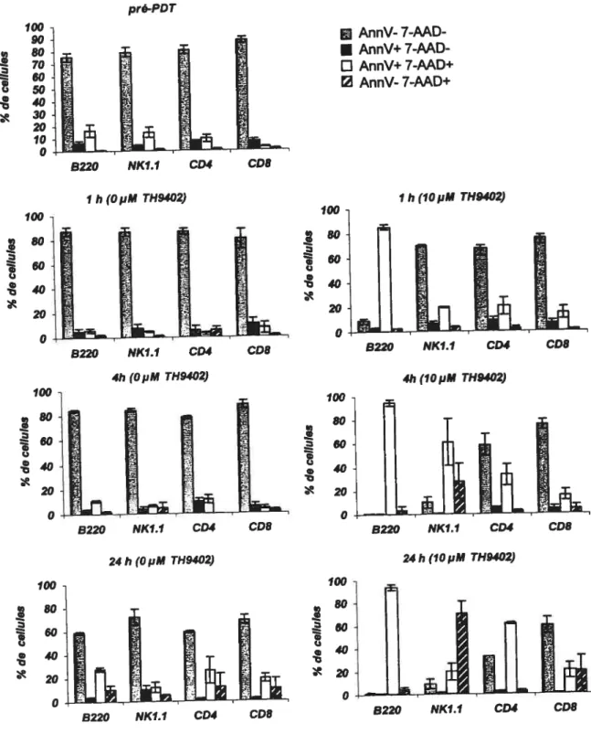 Figure 8. Mécanisme de la mort des spiénocytes quiescents induite par la PDT. Le pourcentage de cellules B, NK, CD4 et C08 au repos viables (AnnV-7AAD-), apoptotiques (AnnV+7AAD-) et nécrotiques (AnnV-7AAD+) a été évalué par un marquage AnnV et 7-AAD et ceci à différents temps après traitement, soit 7h, 4h et 24h.