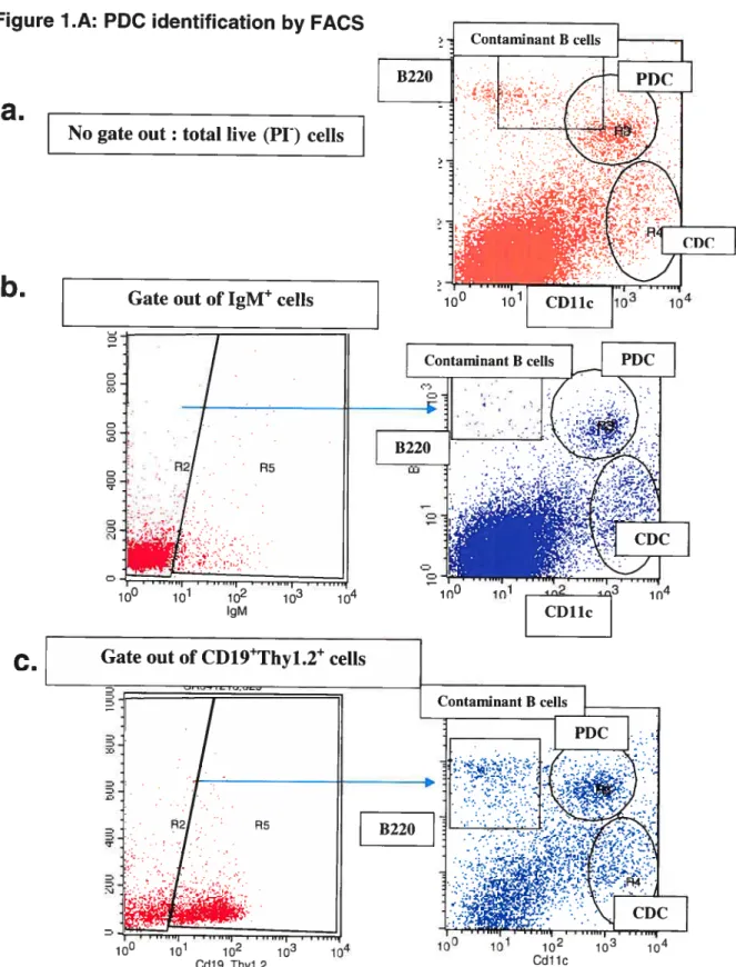 FIGURE 1: PDC IDENTIFICATION AND MORPHOLOGY Figure LA: PDC identification by FACS