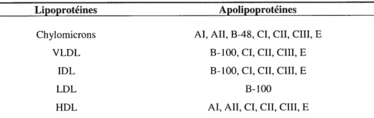Tableau I. Les lipoprotéines et leur contenu en apolipoprotéines