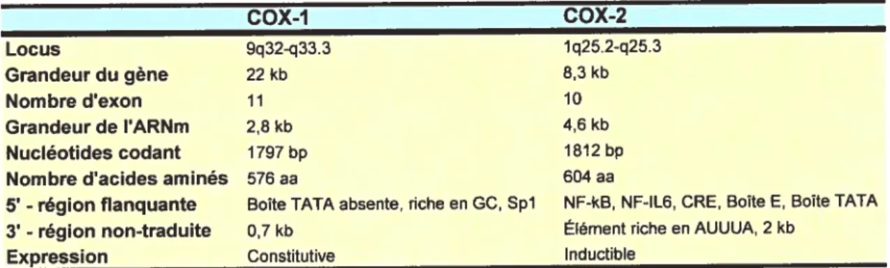 Tableau I: Comparaison des principales caractéristiques de la COX-1 et de la