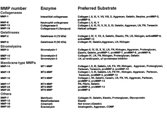 Tableau 1: Classification des MMPs et de leurs substrats préférentiels