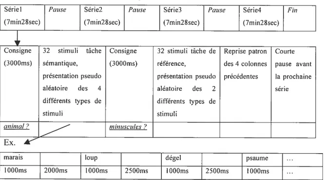 FIGURE 2 Design de l’étude sémantique IRMf mono-événementiel