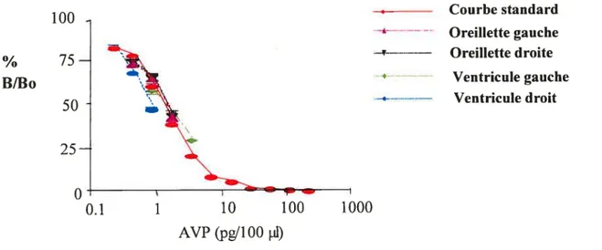 fig. 3 : Différentes dilutions (1:10, 1:20 et 1:40, en duplicata) des extraits auriculaires et ventriculaires ont été mesurées par la méthode radio-immunologique à l’aide d’un anticorps spécifique anti-vasopressine