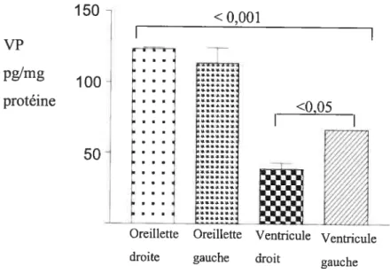 fig. 4 : La concentration de la vasopressine dans les quatre compartiments de coeur adulte de rat mesurée par la méthode radio-immunologique (RIA) suite à une extraction du peptide sur des billes de verre activées par la chaleur (Vycor)
