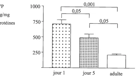 fig. 5 : Changements de la concentration de la vasopressine, dans le coeur entier de rat âgé de