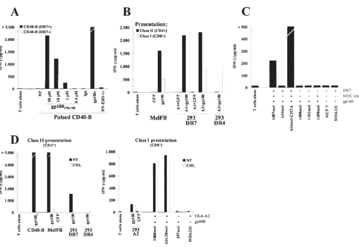 Figure 1 MHC class II-restricted presentation of endogenous and exogenous gplOO