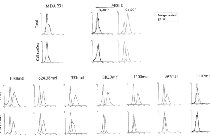 figure 4 GplOO celi surface expression in melanoma ce!! unes Lepage and Lapointe