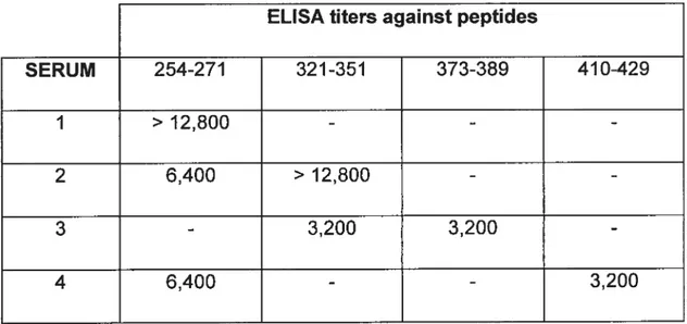 Table 1. ELISA titers of LKM-1-positive sera against uncoupled synthetic peptides representing CYP2D6 linear or sequentïal antigenic sites