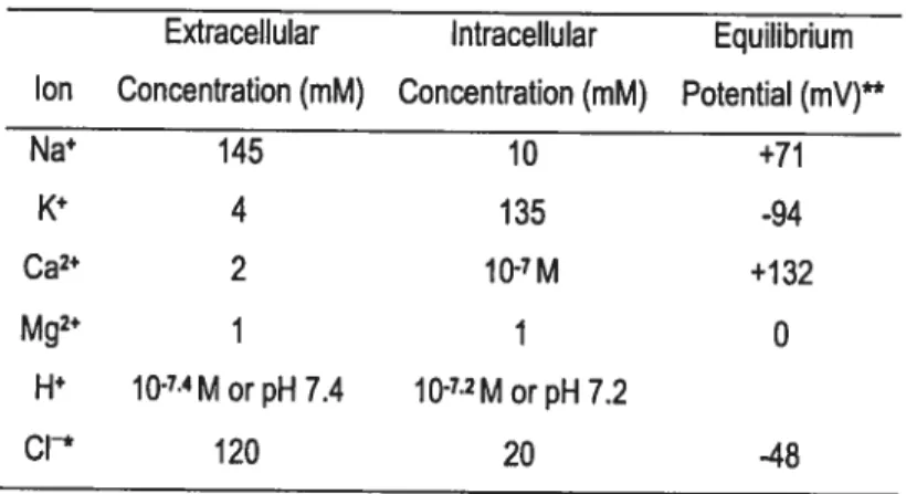 Table 1. Intracellular and Extracellular Ion Concentrations in Cardiocytes