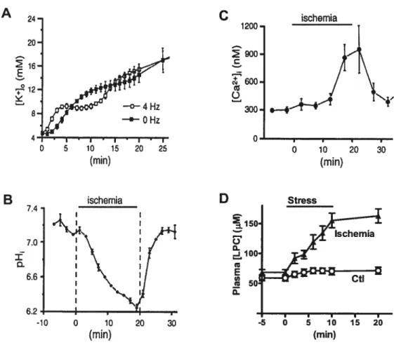 Figure 3. Time-courses of [K]0, pH, [Ca2], and plasma LPC during ischemia. A: increase cf [K]0 during ischemia in Langendorff-perfused quiescent and stimulated (4 Hz) rat hearts, measured with K sensitive electrodes inserted in mid left myocardium