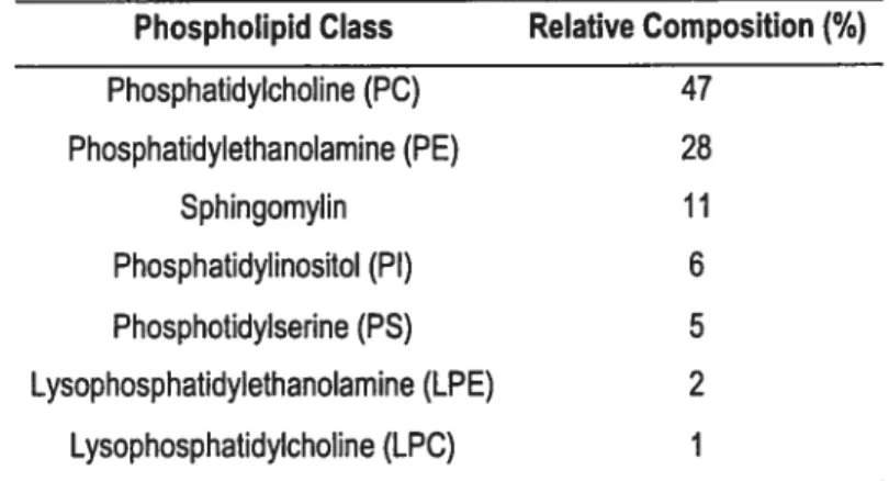 Table 2. Phospholipïd Composition of Myocardial Sarcolemma