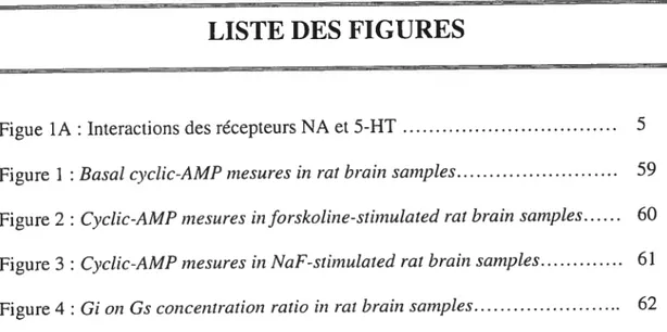 Figure 1 Basal cyctic-AMP mesures in rat brain samples 59
