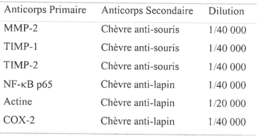 Tableau V : Liste des anticorps secondaires utilisés pour analyse par Western Blot
