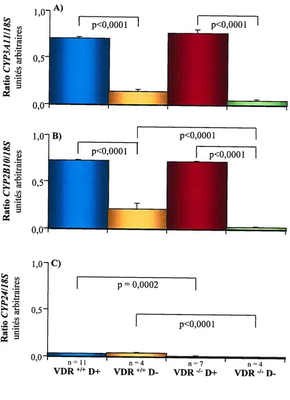 Figure 5. Effet de la carence en vitamine D sur l’expression génique des