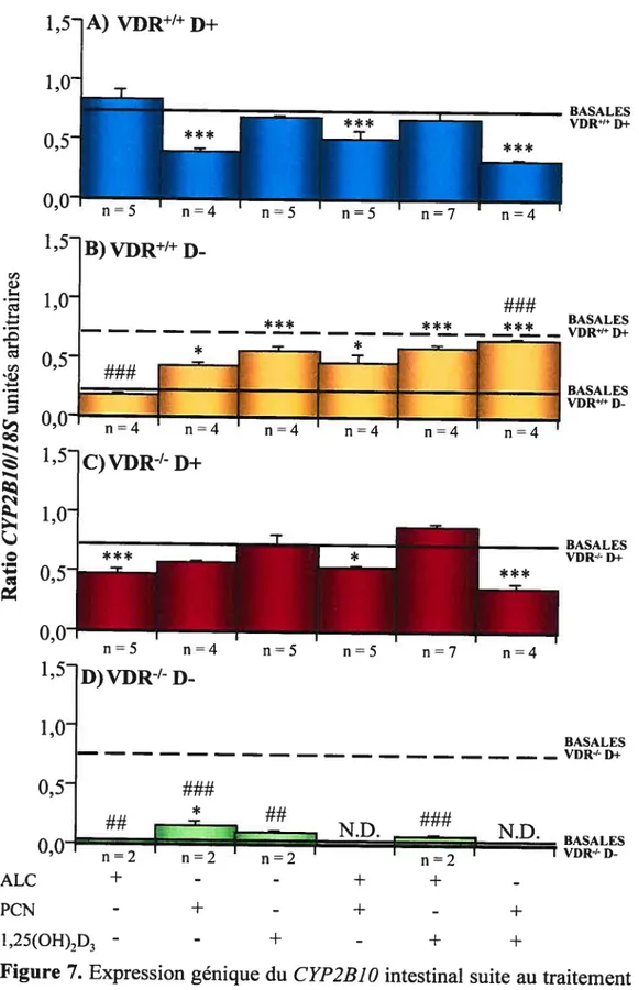 Figure 7. Expression génique du CYP2B] O intestinal suite au traitement de divers inducteurs dans l’intestin de souris de type VDR’ (A,B) et VDW’ (C,D) normales (D+) ou carencées en vitamine D (D-).