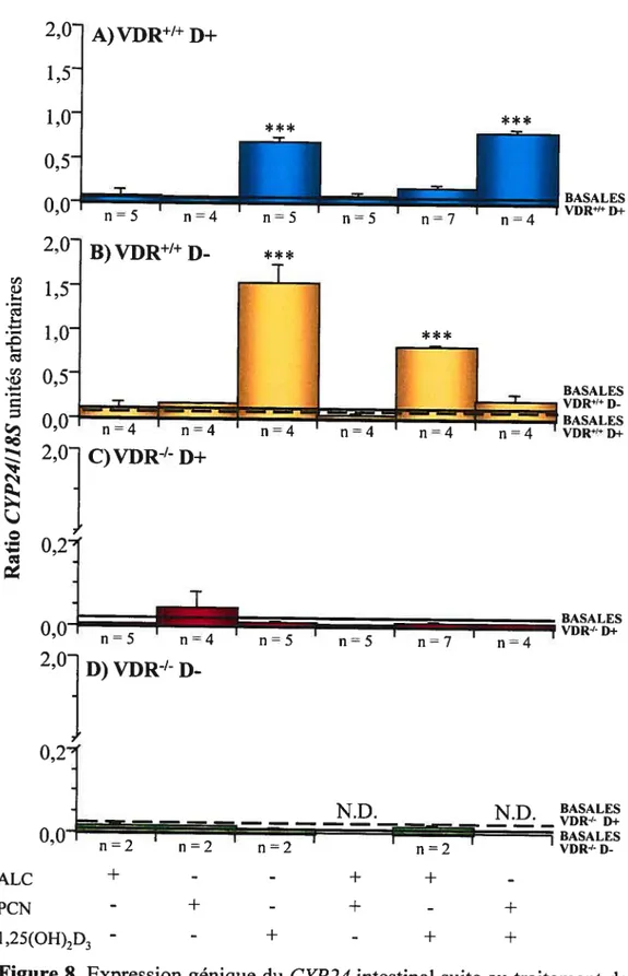 figure 8. Expression génique du CYP24 intestinal suite au traitement de