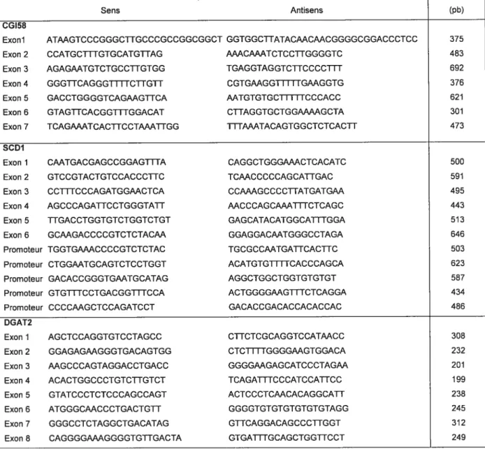Tableau IV. Séquences des amorces utilisées pour l’amplification de tous les exons de gènes spécifiques et du promoteur de SCD-1