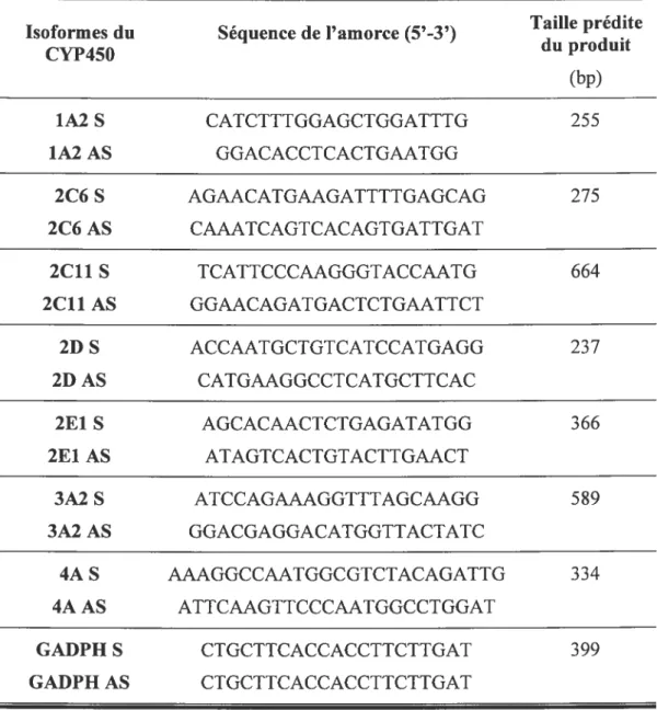Tableau VII Séquences des amorces de PCR