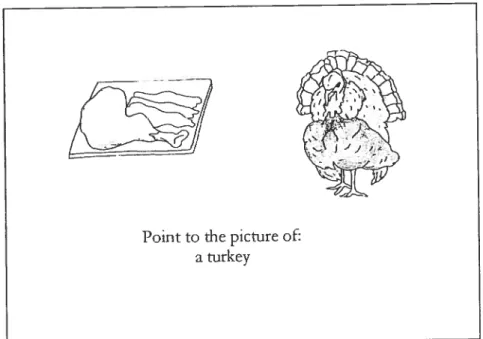 Figure 1.3: Sentence-picture matching stimulus, count reading of dual noun