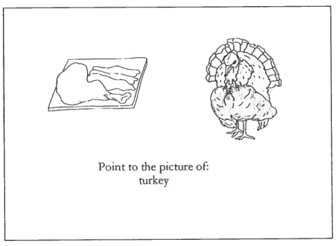 Figure 1.4: Sentence-picture matching stimulus, mass reading of dual noun