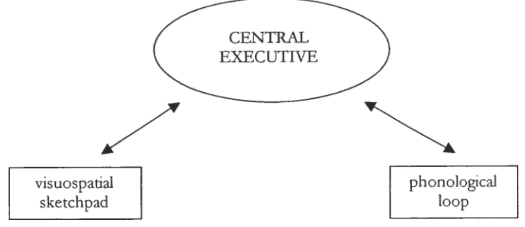 Figure 1.7 Baddeley and Hitch’s (1974) model ofWv1