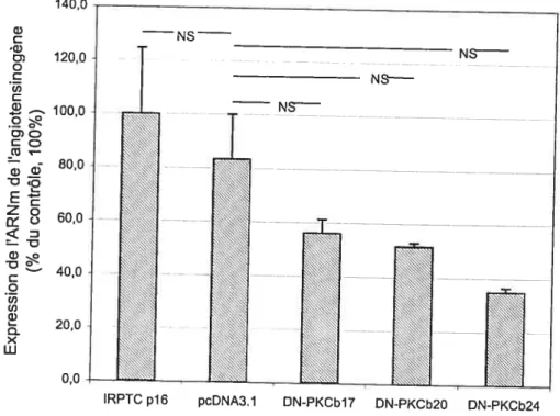Figure 4.5: Expression de base de l’ARNm de l’angiotensinogène dans les différents clones d’IRPTC déterminée par RT-PCR