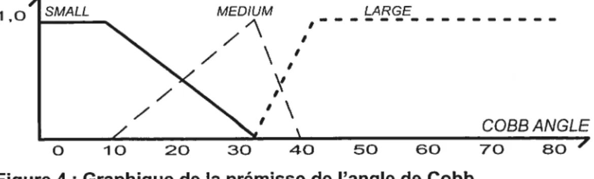 Figure 4: Graphique de la prémisse de l’angle de Cobb