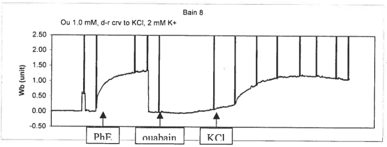 Figure 11. Experiment record ofKCl-induced contraction