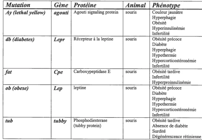 Figure 1 : Liste des mutations pouvant causer une obésité monogénique chez la souris
