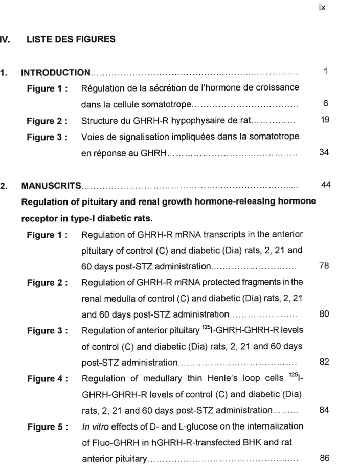 Figure I : Régulation de la sécrétion de l’hormone de croissance