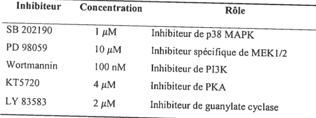 Tableau IV - Inhibiteurs de protéine kinases et de guanylate cyclase